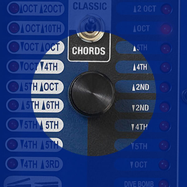 DigiTech Bass Whammy selector knob
