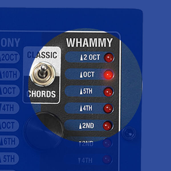 DigiTech Bass Whammy pedal whammy LEDs